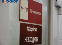 «Нисходящий тренд» в борьбе с ковидом увидел Александр Гусев в Воронежской области