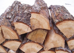 В Терновском районе местный житель незаконно спилил сосны, чтобы отапливать дом