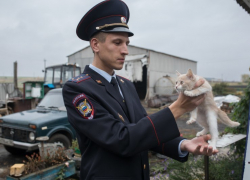  В Каширского районе пьяный депутат напал на «Народного участкового» Воронежской области