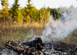 В Борисоглебске и соседних районах установился V класс пожарной опасности