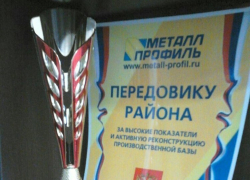 Борисоглебская компания «Металл Профиль» поощрила Терновских сельхозпроизводителей