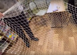 Работники Терновской библиотеки плетут  маскировочные сетки для бойцов СВО