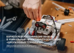 Борисоглебская гимназия оказалась в передовой сотне школ России