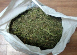 Почти два килограмма марихуаны обнаружили полицейские у местного жителя в Борисоглебске