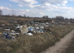 Очередную стихийную свалку сфотографировали под Борисоглебском