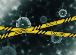 «Родила царица в ночь…»: как жители Воронежской области восприняли новый указ губернатора