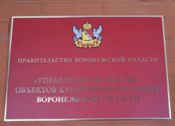Борисоглебский депутат написал жалобу Министру культуры РФ
