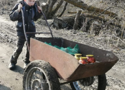  Эту страну не победить: в Воронежской области мальчик из многодетной семьи  привез на тележке  гуманитарную помощь