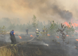 Чрезвычайный уровень пожарной опасности установился в 8 районах Воронежской области 