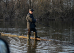 В Грибановском районе ушел под воду мост на реке Ворона