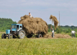В Поворинском районе сельчанин погиб под колёсами трактора