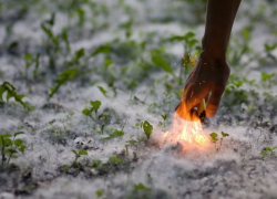 Жителей Воронежской области предупреждают об опасности "летнего снега"