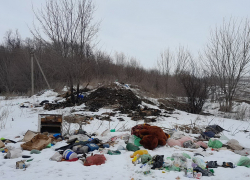 В Терновке Россельхознадзор нашел кучу мусора на сельхозземлях