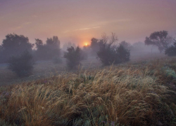 Август в Воронежской области стал самым холодным за последние 16 лет 