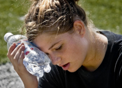 Синоптики рассказали, как долго в Борисоглебске продержится аномальная жара