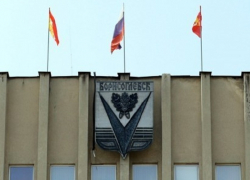 Борисоглебцы смогут лично поучаствовать в привлечении средств в бюджет округа