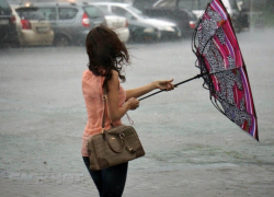 Спасатели сообщили об усилении ветра в Воронежской области до 18 м/с