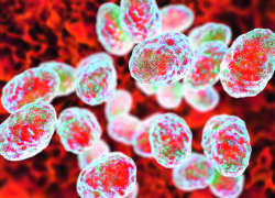 В Борисоглебске выявлен случай заболевания туляремией