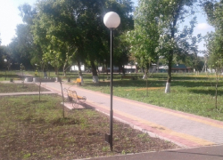 В одном из сел Грибановского района высадили около 100 деревьев 