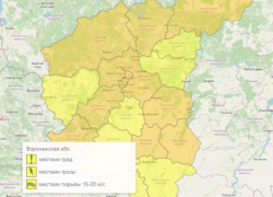 Жёлтый уровень опасности из-за града и гроз объявили в Воронежской области