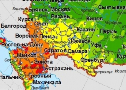 Риск пожаров в Воронежской области назвали высоким