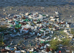 Воронежские волонтеры исследовали мусор на берегах водоемов региона