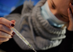 Более 6 тыс. человек в Воронежской области встретили Новый год с соплями