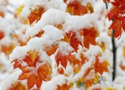 В субботу синоптики  обещают мокрый снег и ветер