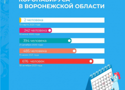 Сразу два «печальных рекорда» зафиксировали 18 октября в Воронежской области 