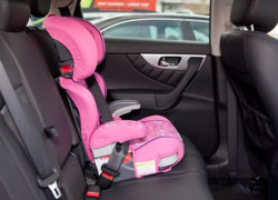 ГИБДД проводит сплошные проверки на дорогах Воронежской области