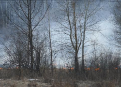 В Борисоглебске загорелся луг за понтонным мостом