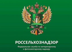 На Борисоглебском маслоэкстракционном  заводе выявлены нарушения ветеринарного законодательства