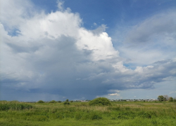 Грозовые и жаркие выходные обещают синоптики в Воронежской области