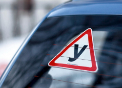 "Заплати - и катайся!": спецслужбы проводят масштабную проверку по  предполагаемым фактам незаконной выдачи водительских удостоверений в МРЭО г. Борисоглебска