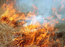 307 штрафов в Воронежской области выписали за сжигание сухой травы