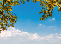 Синоптики рассказали, какой будет погода в сентябре в Воронежской области 