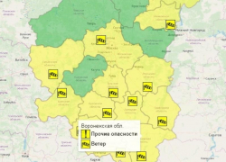 Метель с сильным ветром накроет Воронежскую область