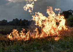 В Воронежской области отменили особый противопожарный режим