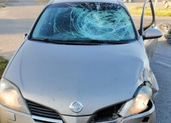 Нарушитель на мопеде оказался под колесами автомобиля в Поворино