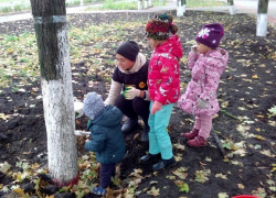 Борисоглебцы своим трудом внесли вклад в благоустройство Театрального парка