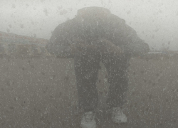  Странный дождь прошел в Воронежской области: его последствия заметили автомобилисты