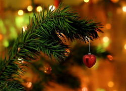 Как выбрать новогоднюю елку и что нужно делать, чтобы она дольше стояла