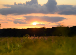 Синоптики рассказали, какой будет погода в Воронежской области в августе