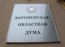 В облдуме проведут общественные слушания по расходованию средств УГМК в Новохоперском районе