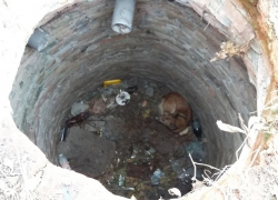 О спасении собаки из старого канализационного колодца рассказала Борисоглебская «Служба Добровольцев»