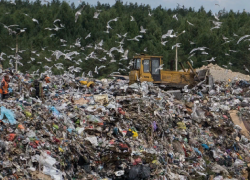 Воронежская область заняла 52-е место в экологическом рейтинге регионов России