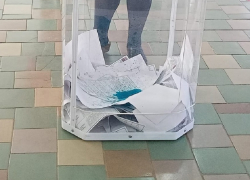 Уже на двух избирательных участках в Борисоглебске произошли диверсии с зеленкой