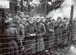 В Белоруссии ищут родственников погибших красноармейцев из Воронежской области