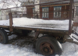 Гигантскую кормушку для птиц придумал находчивый борисоглебец