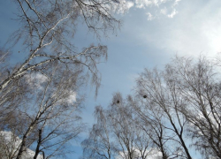 О погодном сюрпризе для жителей Воронежской области рассказали синоптики